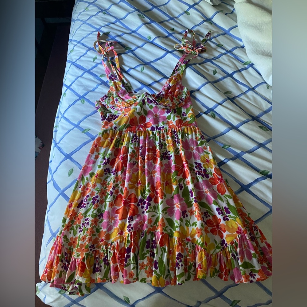 Isabellas Cabinet dress
